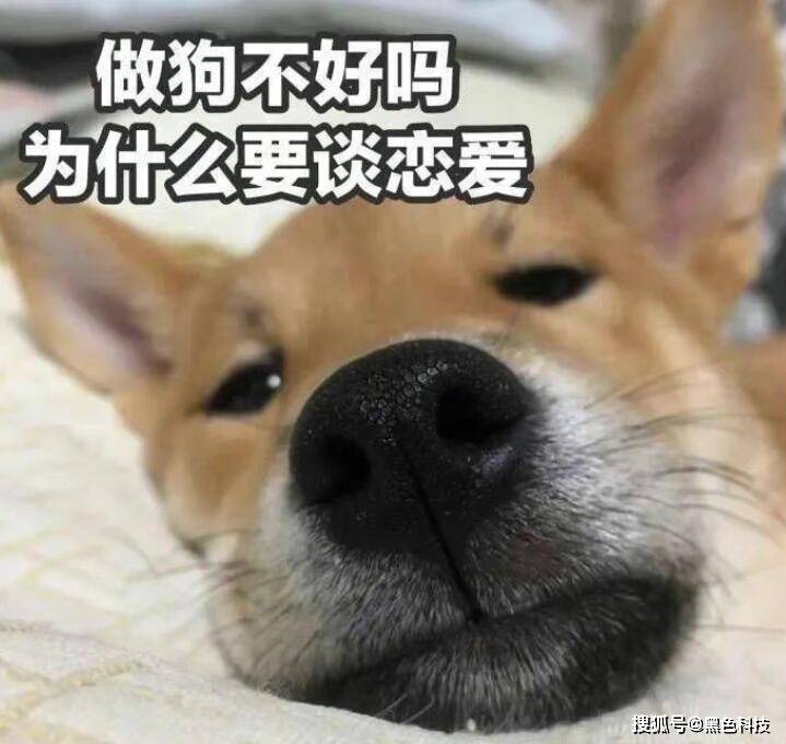 款奇特的折纸折完后惊呆了！爱游戏爱体育一网友发现一(图3)