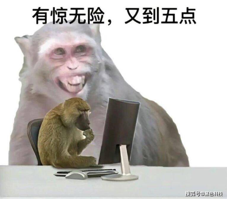 款奇特的折纸折完后惊呆了！爱游戏爱体育一网友发现一(图5)