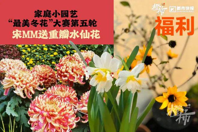 霸王茶姬动物手机支架……橙柿超多福利送送送爱游戏app网站时髦人都有的巴拉克拉法帽、(图9)