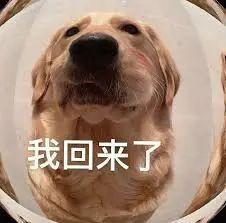 h+1TB这手机把全体网友都整不会了爱游戏(ayx)中国网站7800mA(图12)